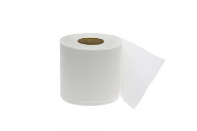 Cleaneq Туалетная бумага 2-ТБ100 (2 слоя, d=13,5 см, 100 м)